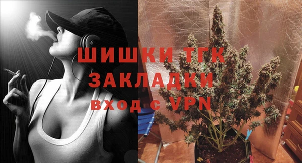 молекула духа Заволжье