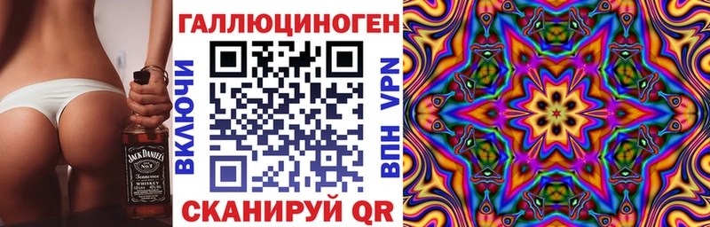 дарнет шоп  Северо-Курильск  Галлюциногенные грибы GOLDEN TEACHER 